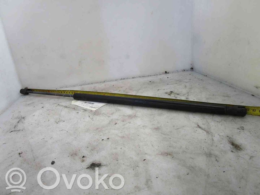 Ford Fiesta Amortizor hayon 