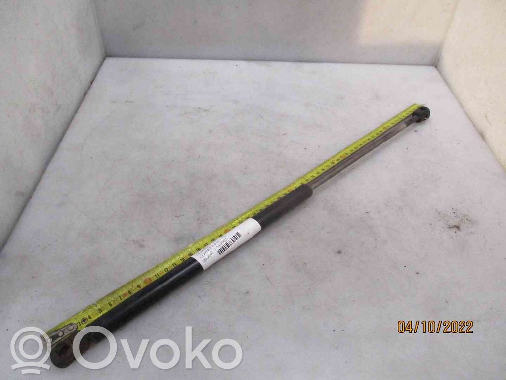 Ford Escape I Ammortizzatore portellone posteriore/bagagliaio 