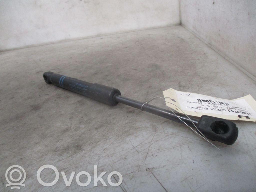 BMW 1 F20 F21 Ammortizzatore portellone anteriore/cofano 