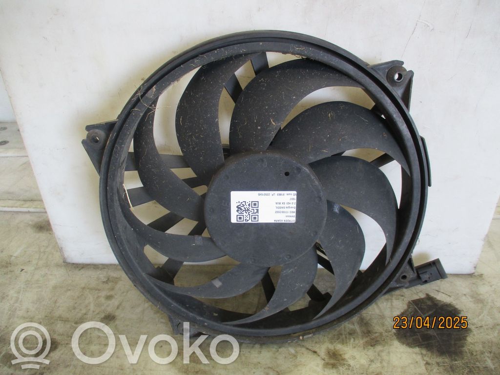 Citroen Xsara Ventilatore di raffreddamento elettrico del radiatore
