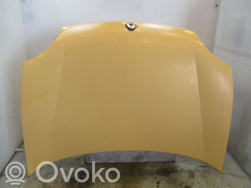 Motorhaube   7751468946,22501162,6296207,VDMS4