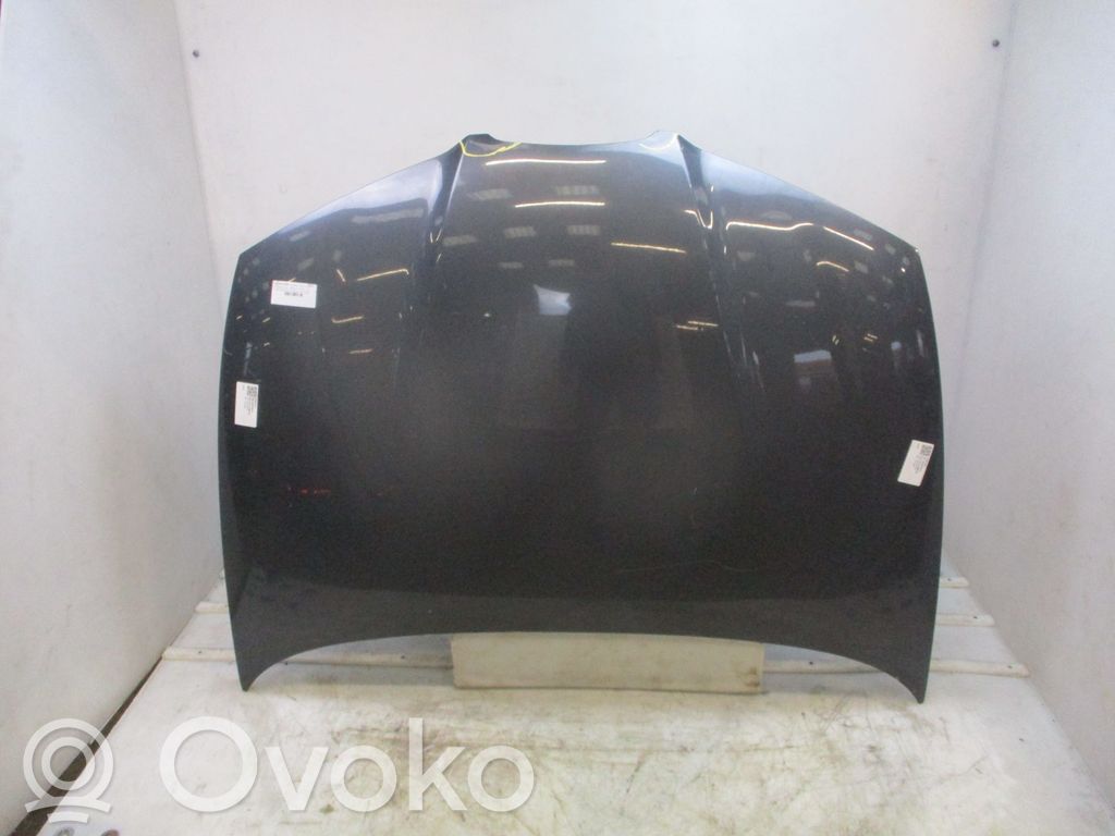 Seat Ibiza III (6L) Vano motore/cofano