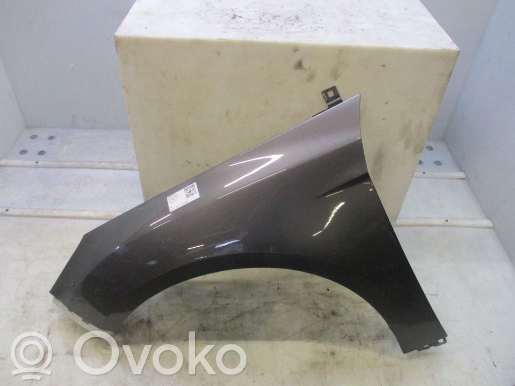 Błotnik przedni   2171304,22502098,9102868,VDMS4