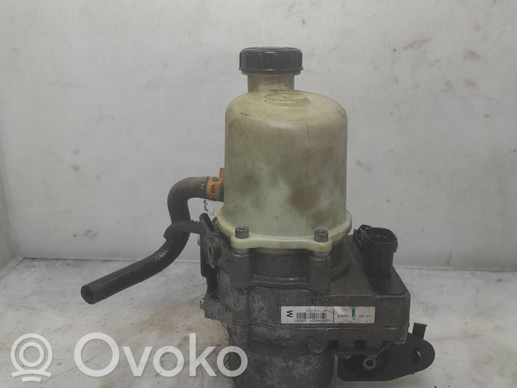 Pompa servosterzo   491106619R,22300043,28878840,VDMS4