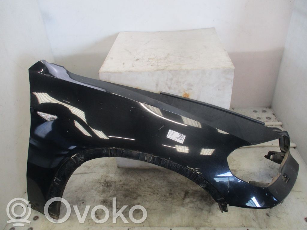 BMW X5 E70 Parafango