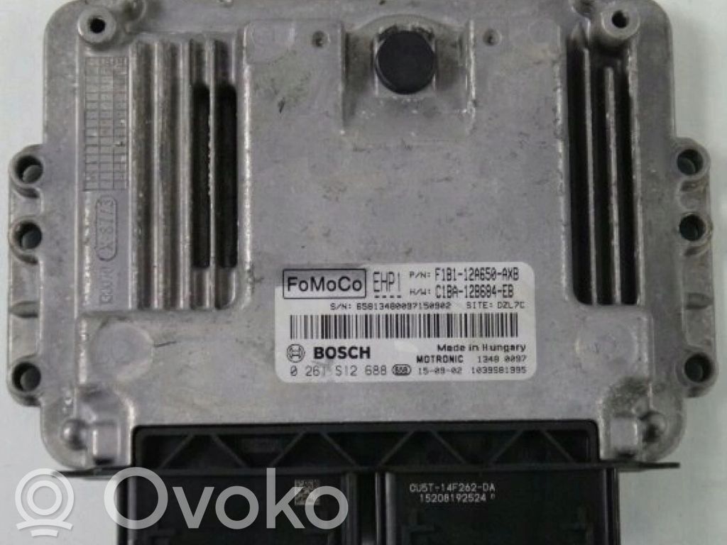 Ford Fiesta Other control units/modules 