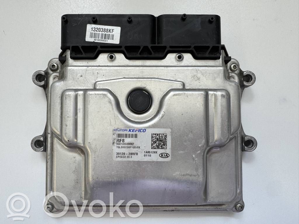 KIA Sportage Engine control unit/module 