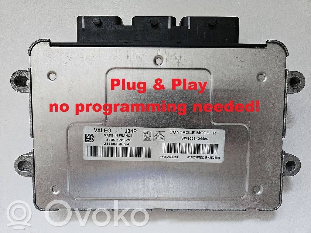 Engine control unit/module   9665424480,9651696680,215865398A,HW9651696680,J34P,SW9665424480