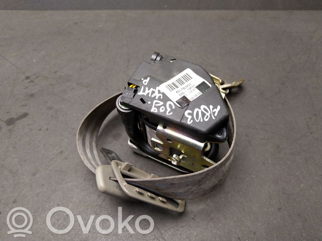 Audi A8 S8 D3 4E Cinturón medio (trasero) 