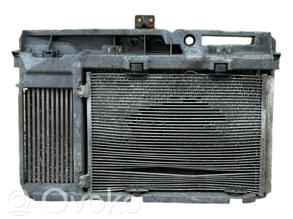 Citroen C3 Picasso Radiatorių panelė 