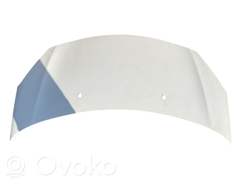 Motorhaube