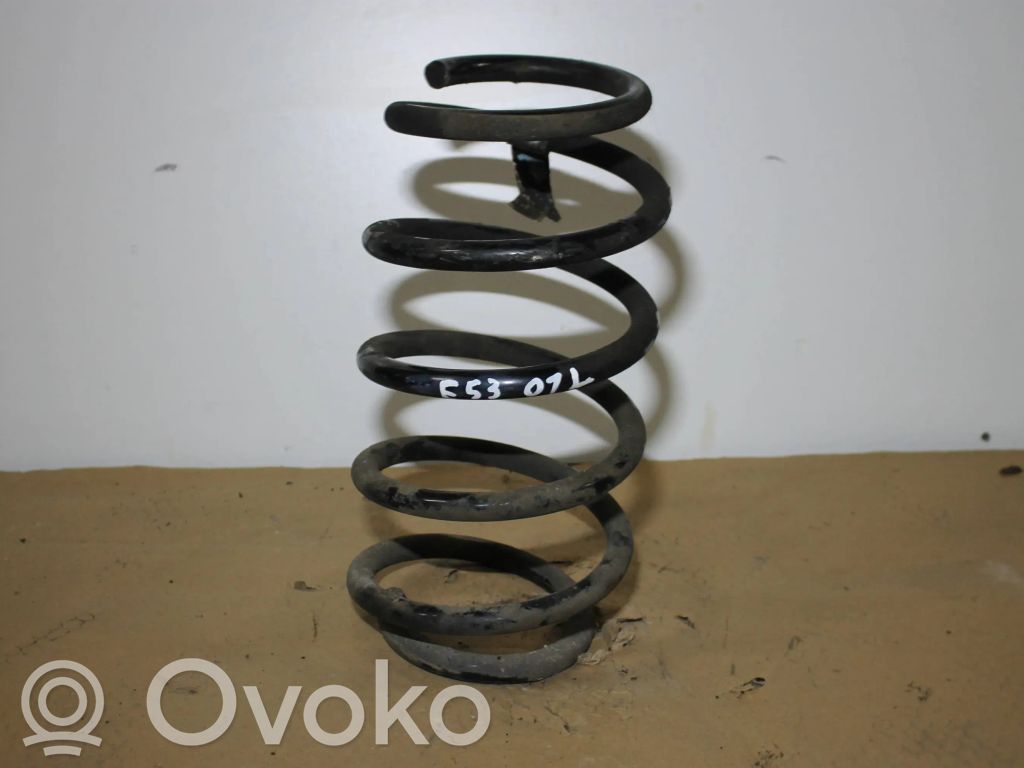 Front coil spring   750338