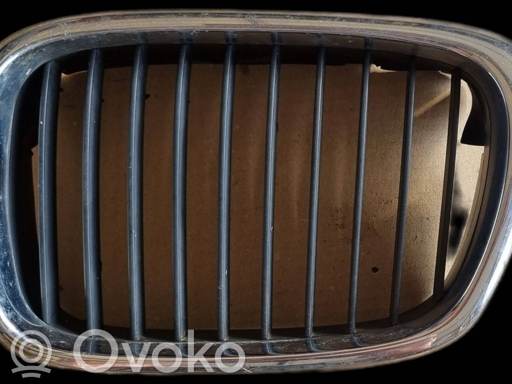 Kühlergrill   2494065