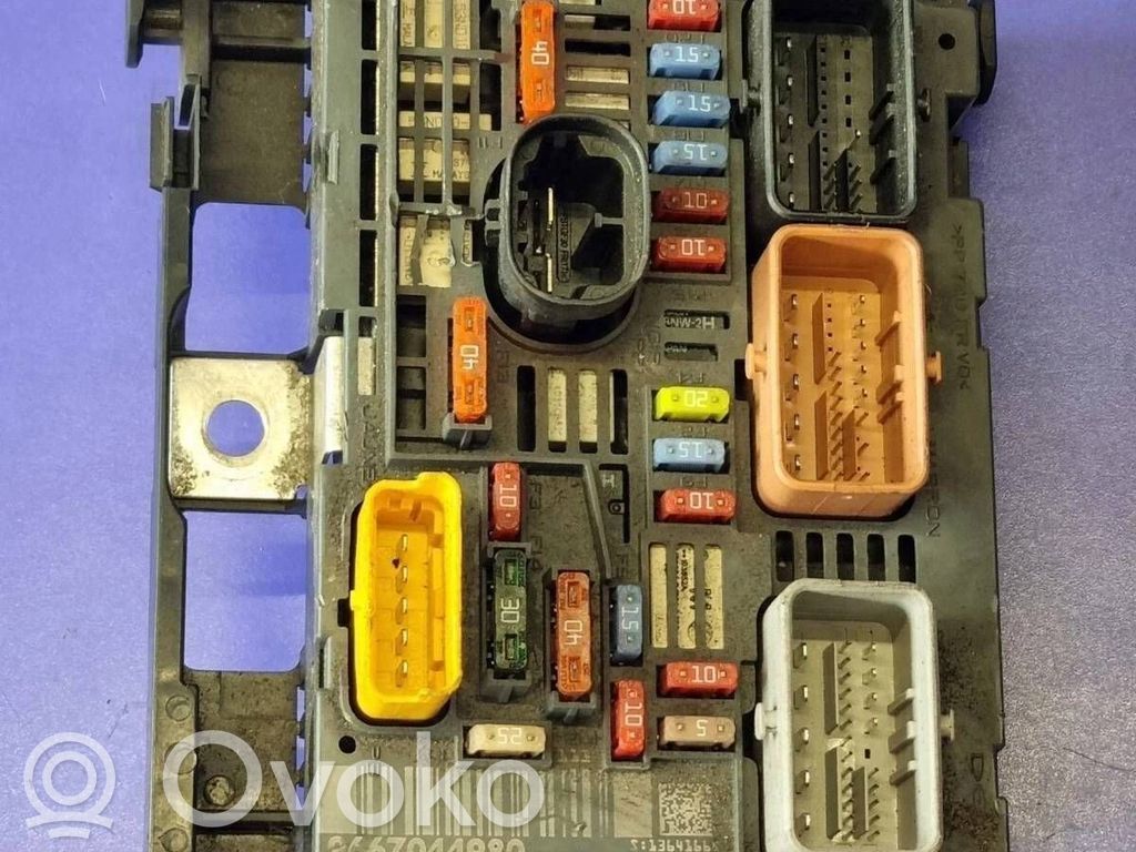 Fuse module   9667044980