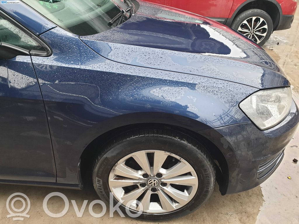 Volkswagen PASSAT B7 Parafango 