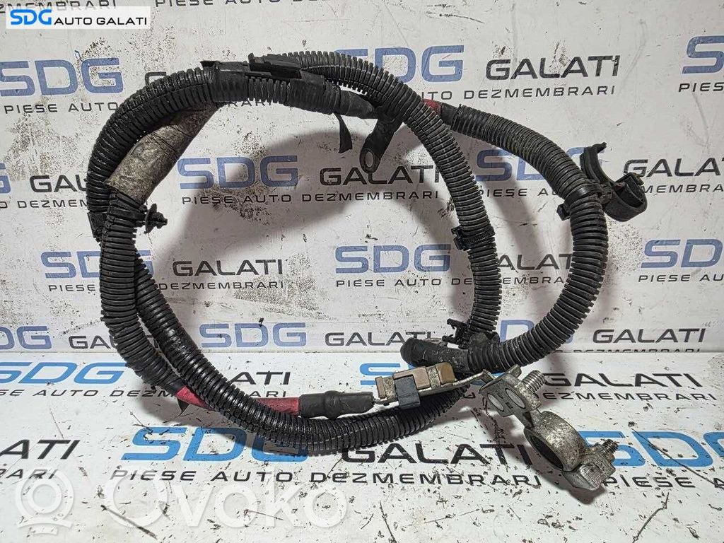 Cable positivo (batería)   8G9T14A280JAA