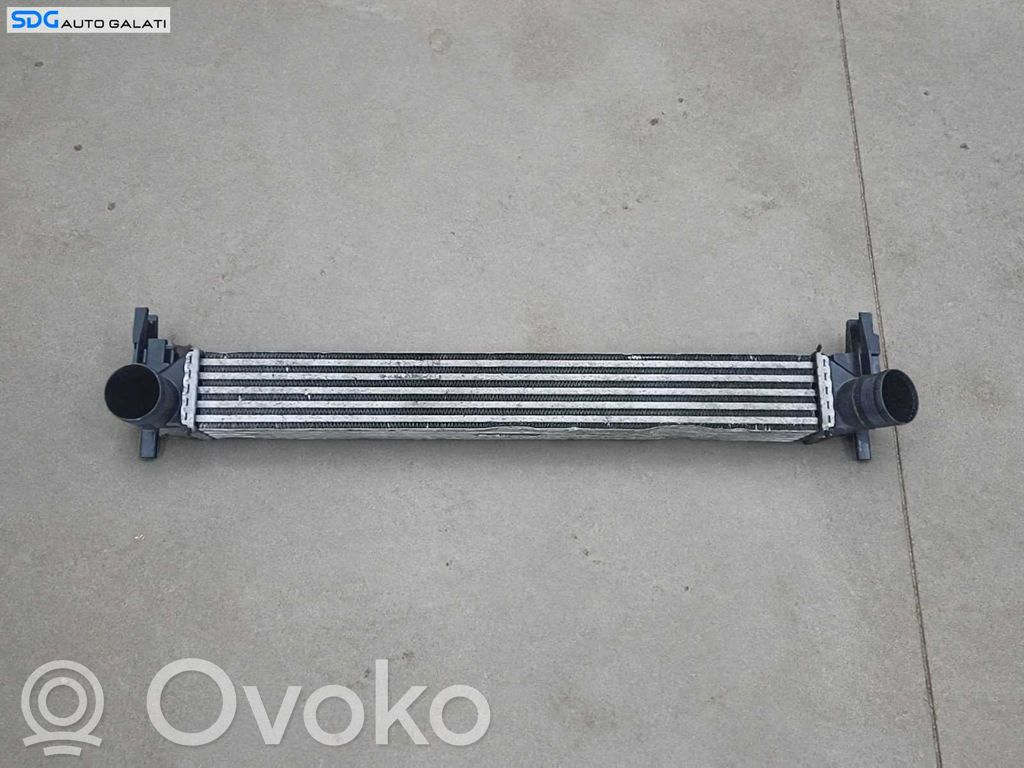 Seat Toledo IV (NH) Radiator intercooler 