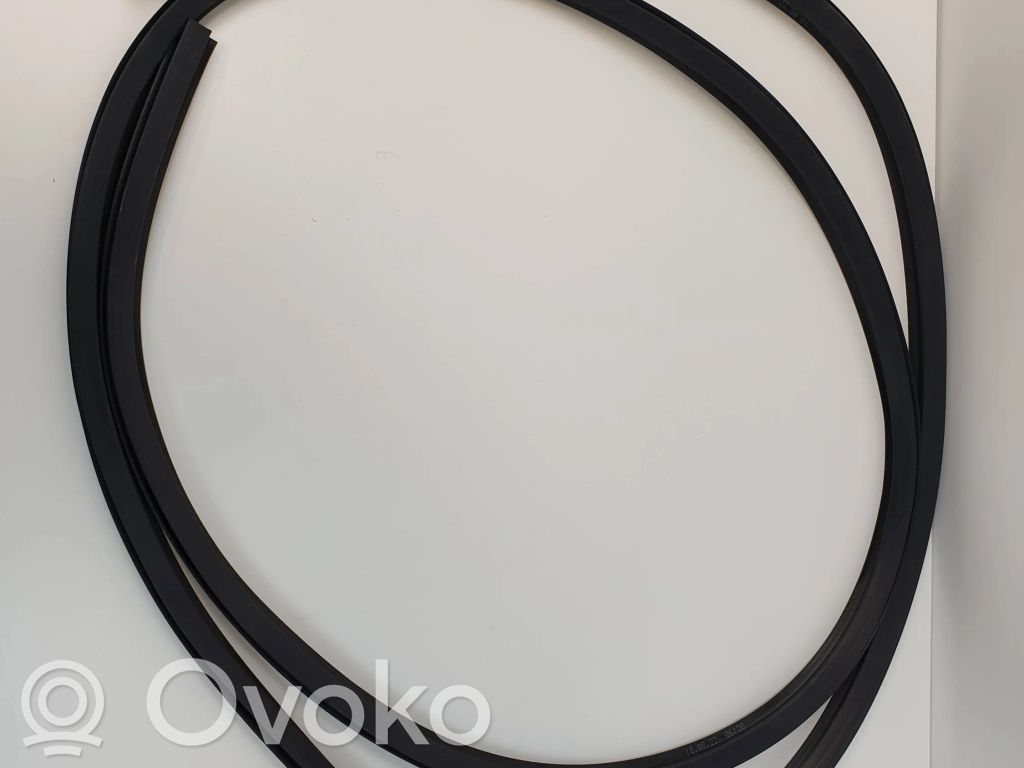 Windshield trim   180822,821458131