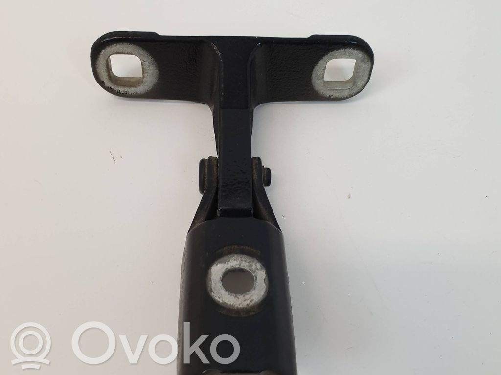 BMW X5 E70 Aizmugurējā pārsega eņģe (-ess) 