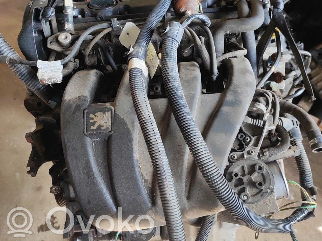 Peugeot 406 Variklis 