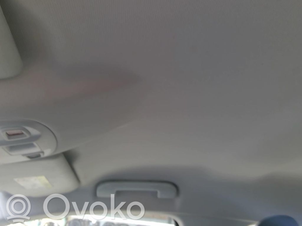 Peugeot 308 Headlining 