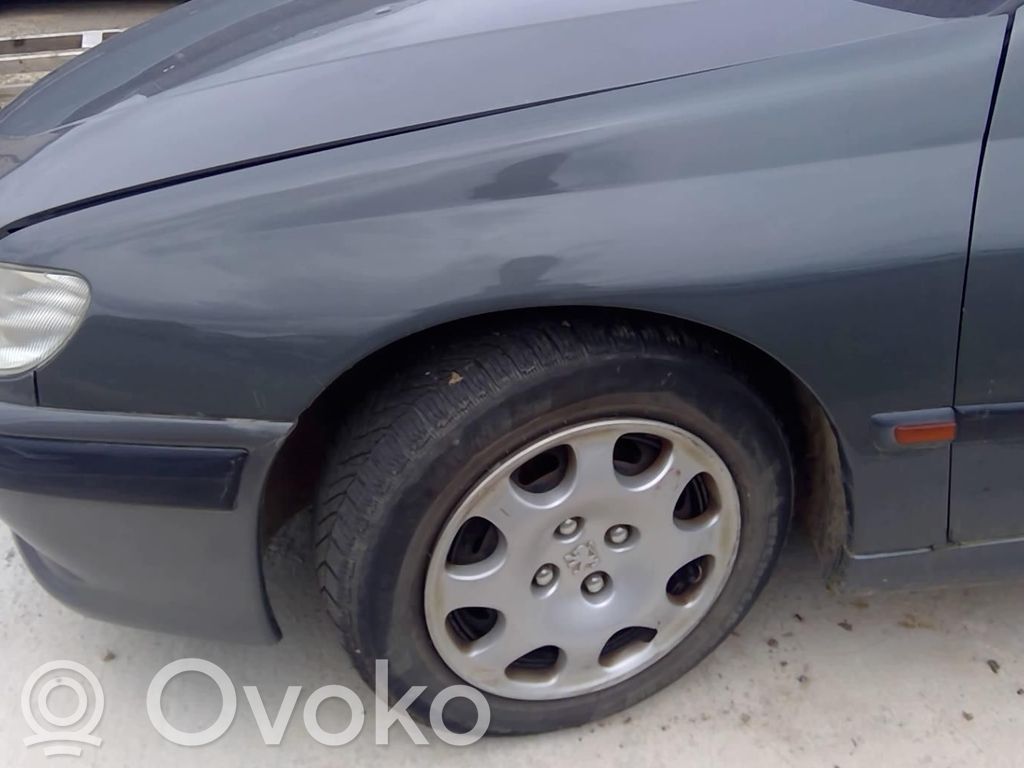 Peugeot 406 Sparnas 