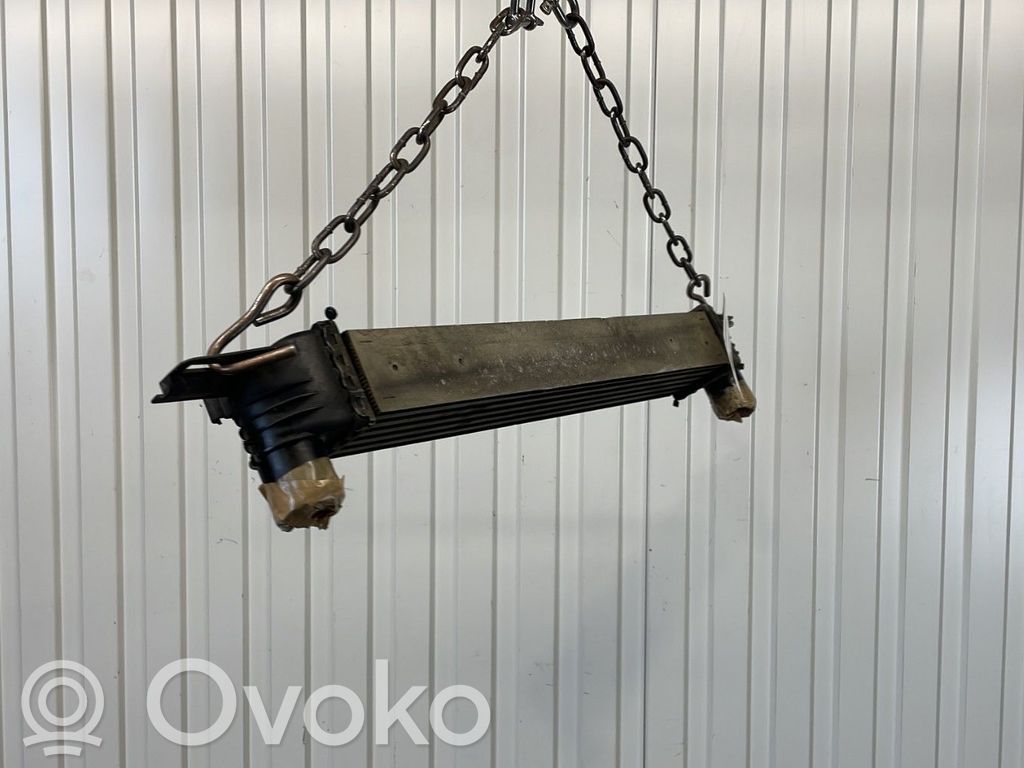 Radiador intercooler   00000384L7