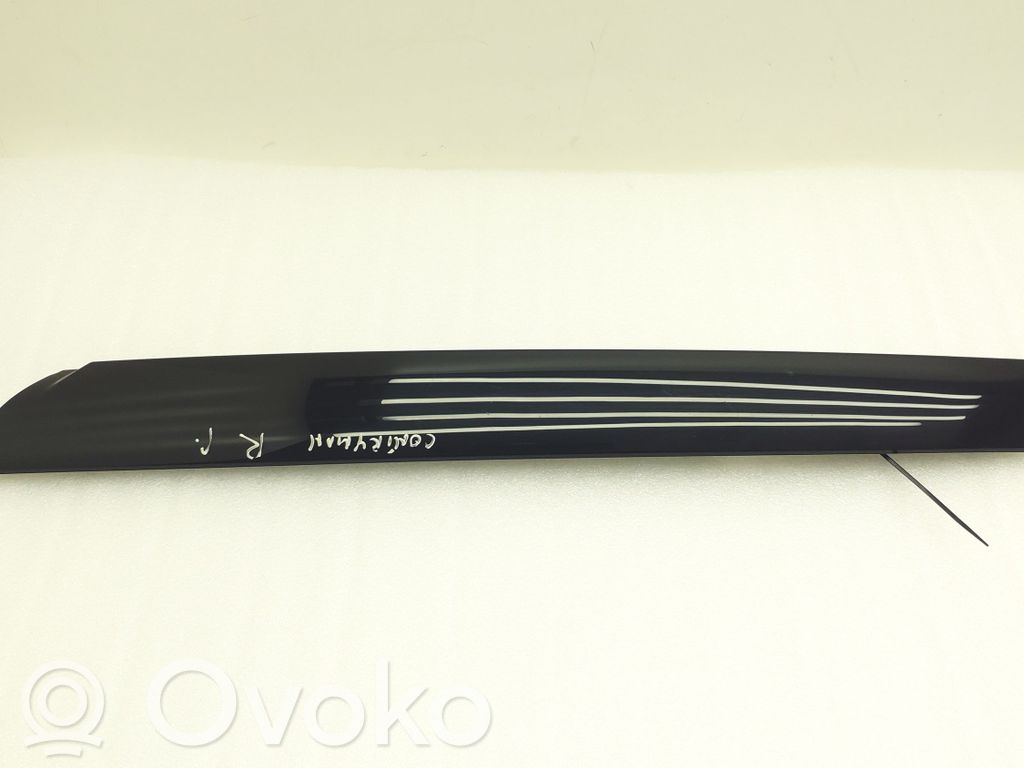 Mini Cooper Countryman R60 Windshield trim 