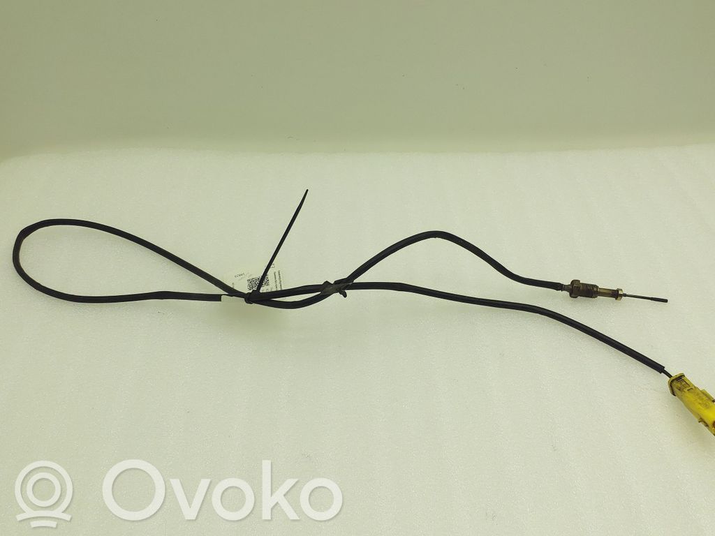 Peugeot RCZ Izplūdes gāzu temperatūras sensors 