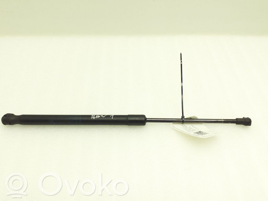 Tailgate/trunk strut/damper   7060622,51247060622