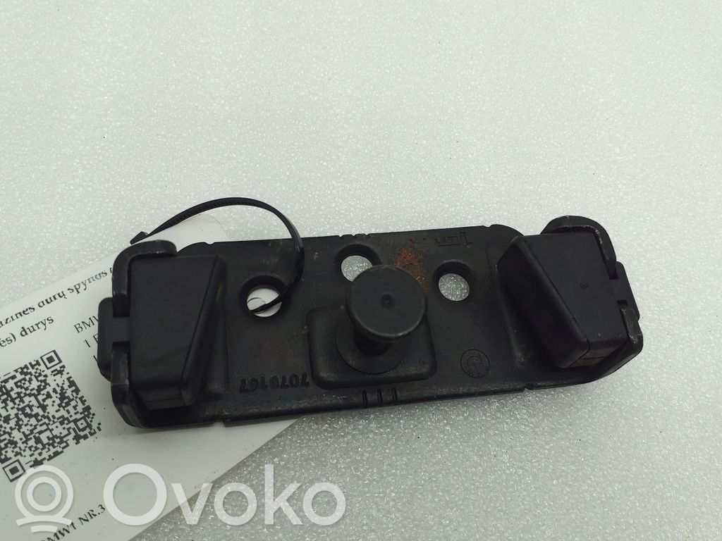 Loading door lock loop/hook striker   7078167
