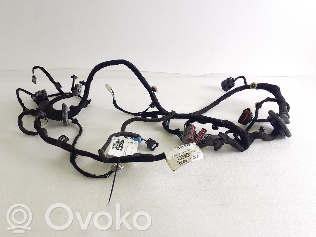 Jaguar E-Pace Cableado de puerta delantera 