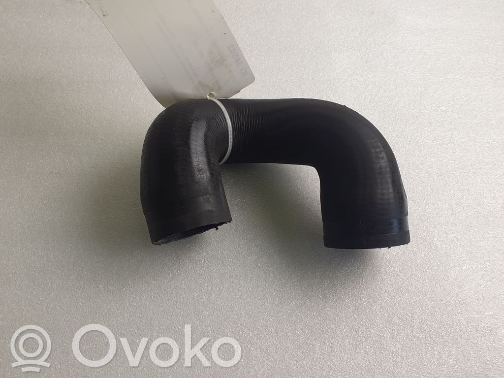 Engine coolant pipe/hose   7521049070