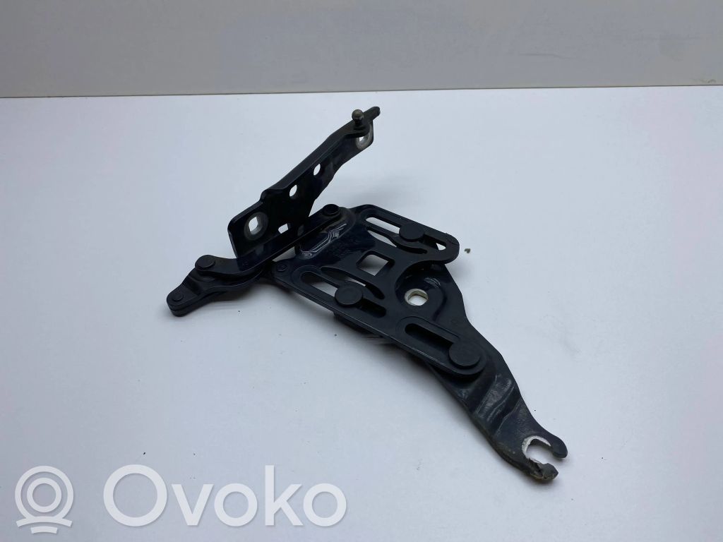 BMW X5 E70 Engine bonnet/hood hinges 