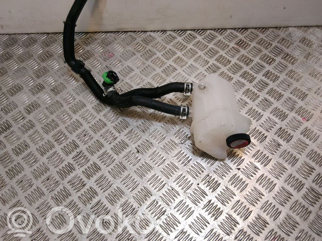 Aušinimo skysčio išsiplėtimo bakelis
