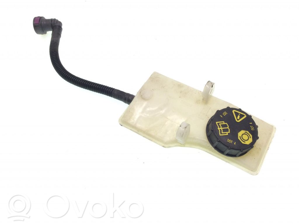 Ford Kuga II Serbatoio/vaschetta del liquido del servosterzo 
