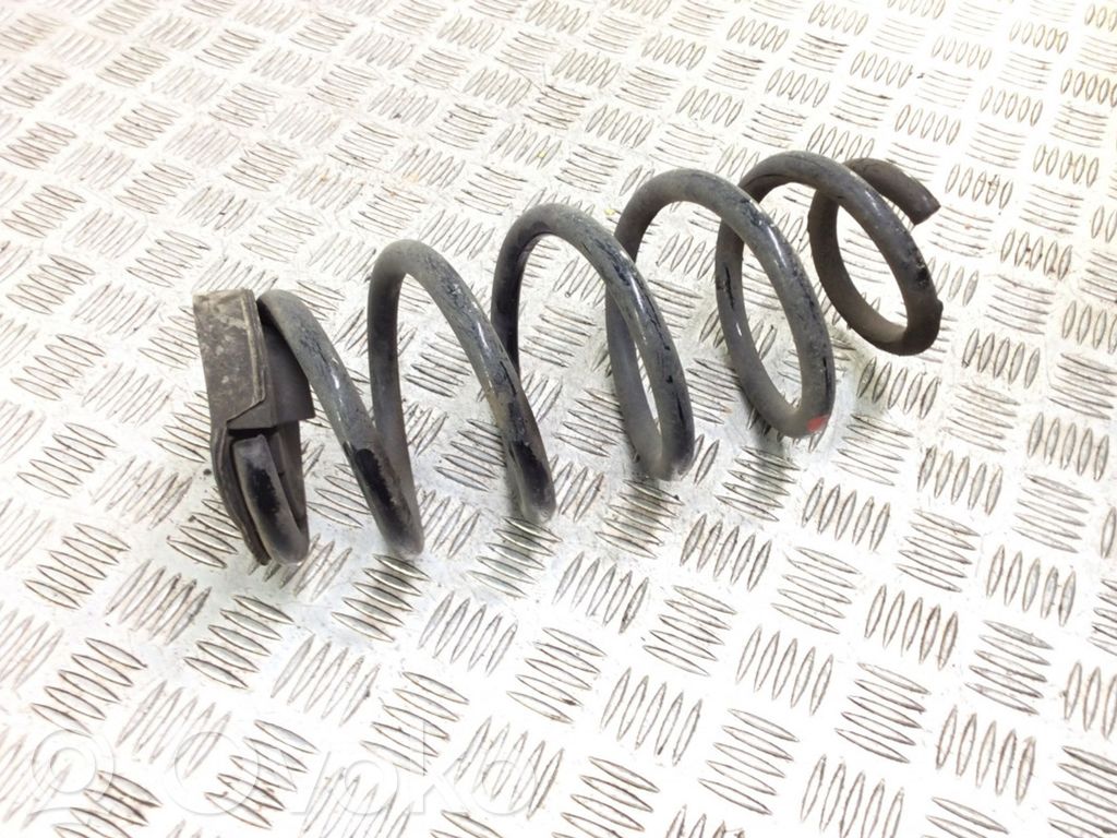 Rear coil spring
