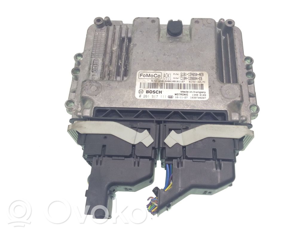 Ford Fiesta Engine control unit/module 