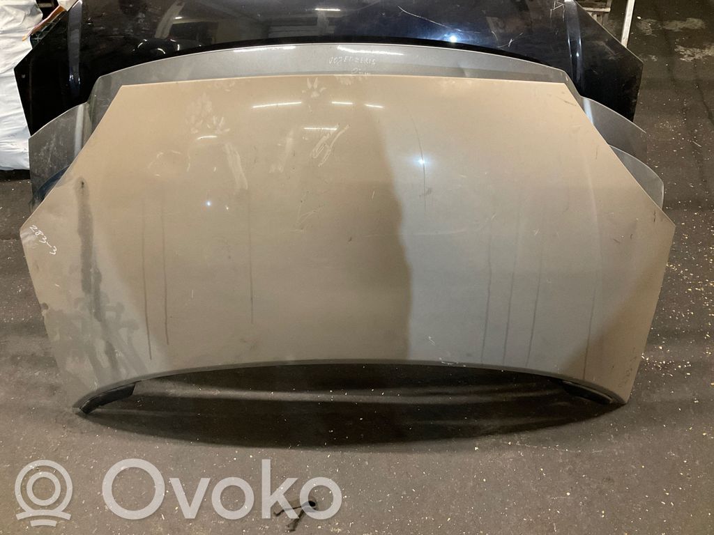 Engine bonnet/hood