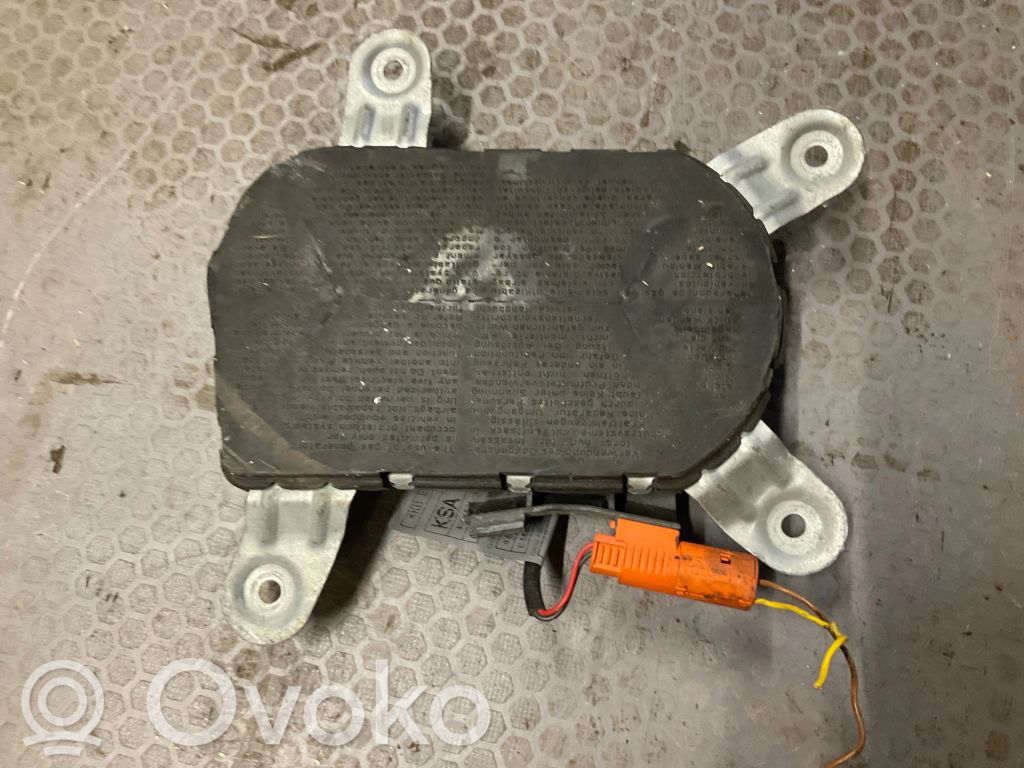BMW 5 E39 Airbag de la puerta delantera 