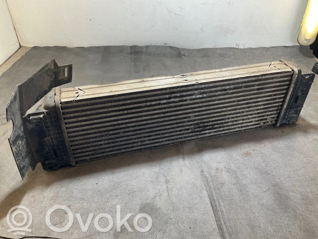 Mercedes-Benz Sprinter W906 Radiator intercooler 