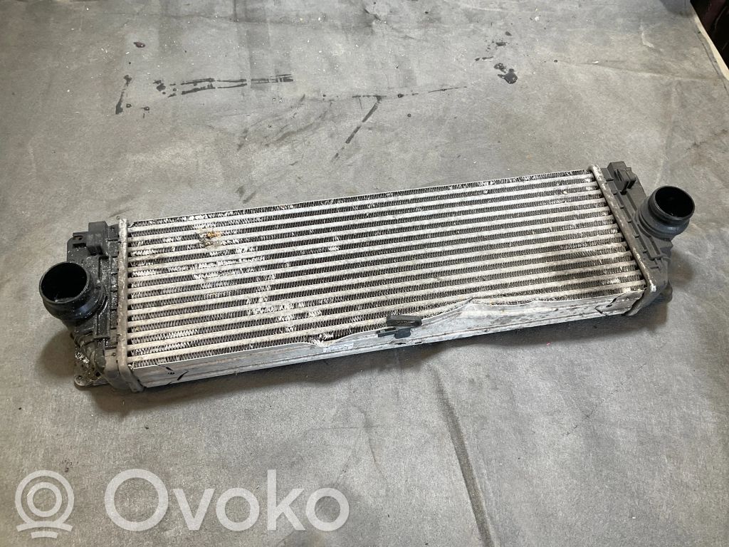 Mercedes-Benz Sprinter W906 Radiator intercooler 