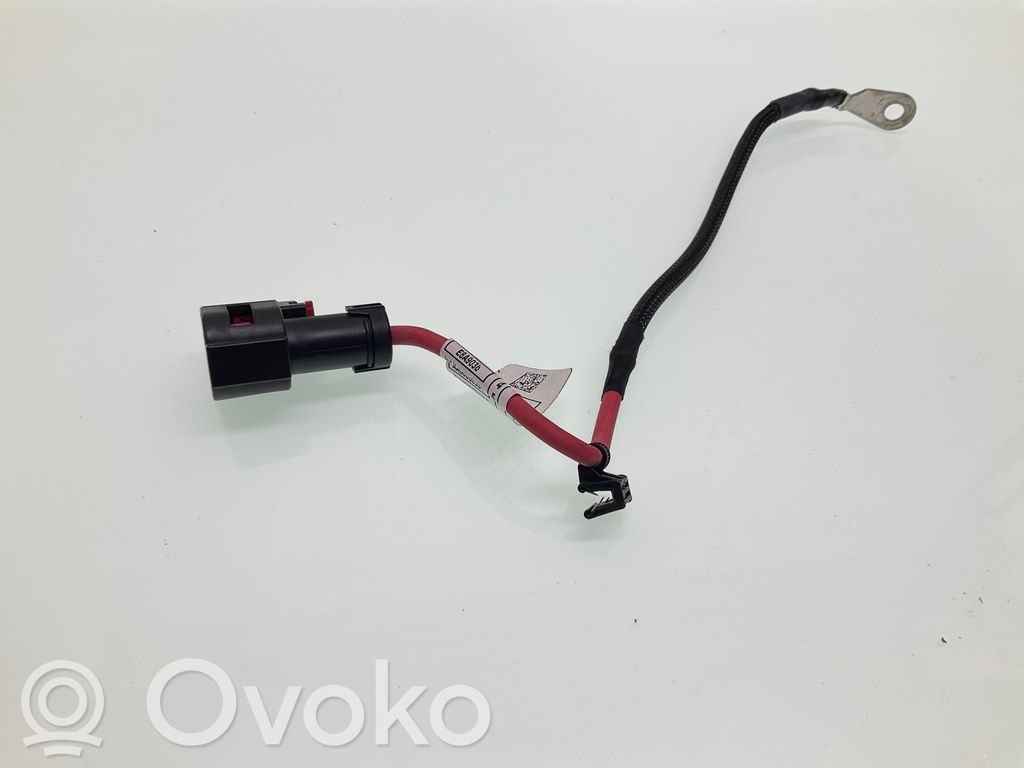Plus / Klema / Przewód akumulatora   750030201,8628634