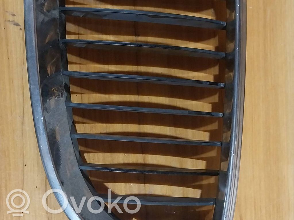 Etusäleikkö   10627110