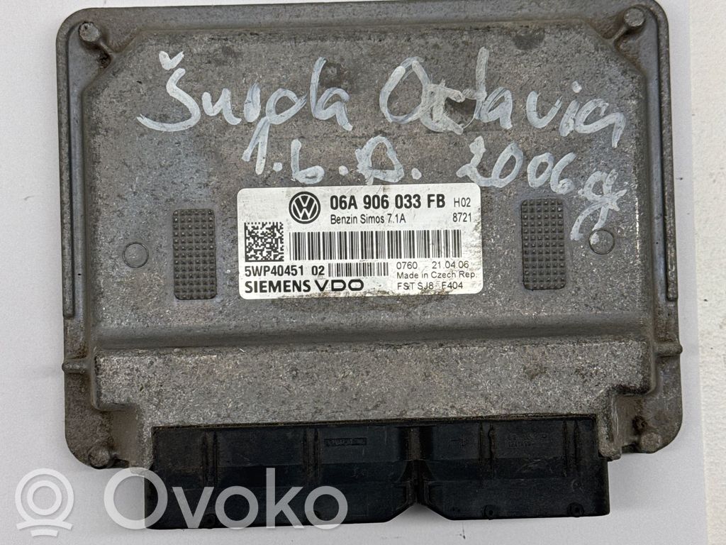 Skoda Octavia Mk2 (1Z) Engine control unit/module 