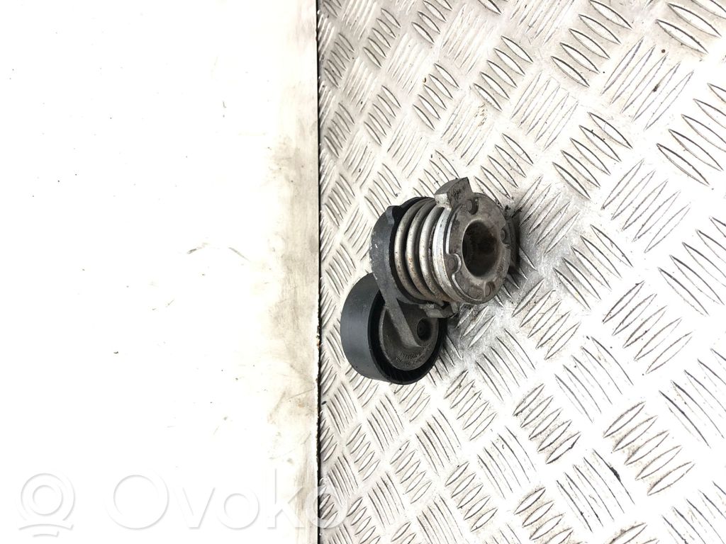 BMW 3 E46 Tensor de correa del alternador 