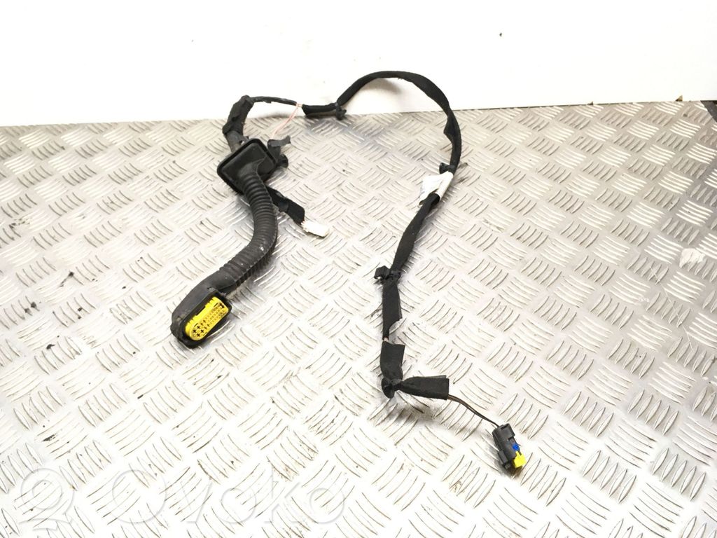 Renault Clio III Cableado de puerta trasera 