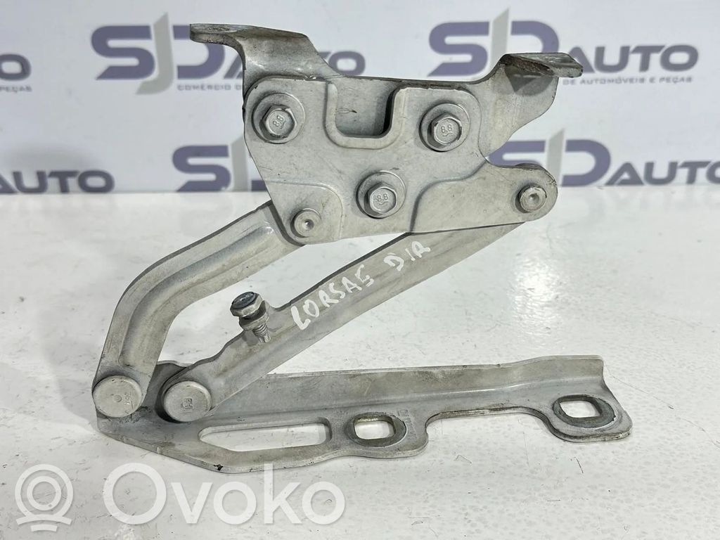 Scharnier Motorhaube   13311903,452736325,461184070
