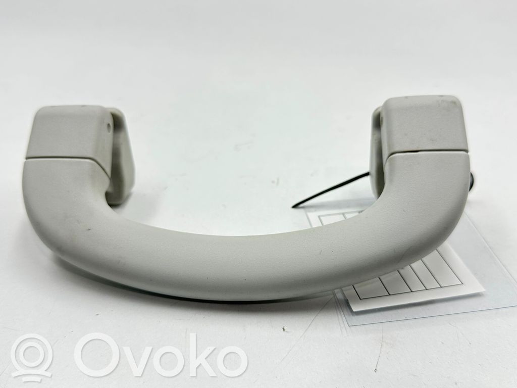 Asidero interior delantero