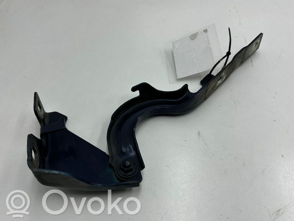 Engine bonnet/hood hinges